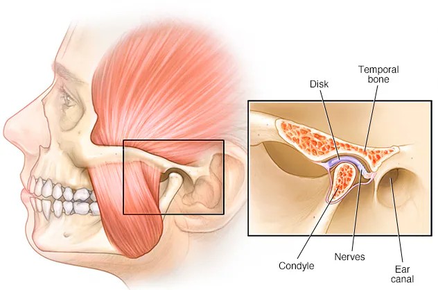 The Connection Between TMJ Pain and Oral Health